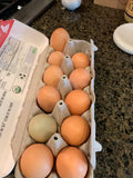 Pasture raised eggs